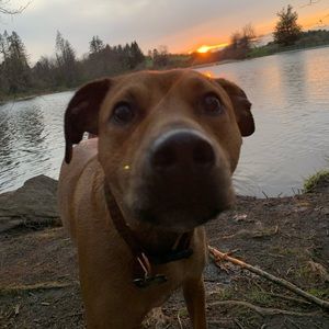 Meet your Posher, Maria